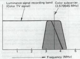 img-89.jpeg