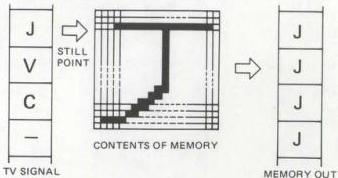 img-50.jpeg