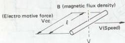 img-65.jpeg