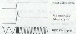 img-11.jpeg