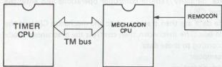 img-126.jpeg