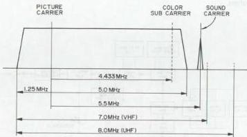 img-131.jpeg
