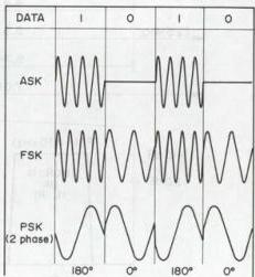 img-146.jpeg
