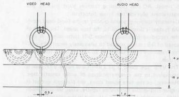 img-161.jpeg